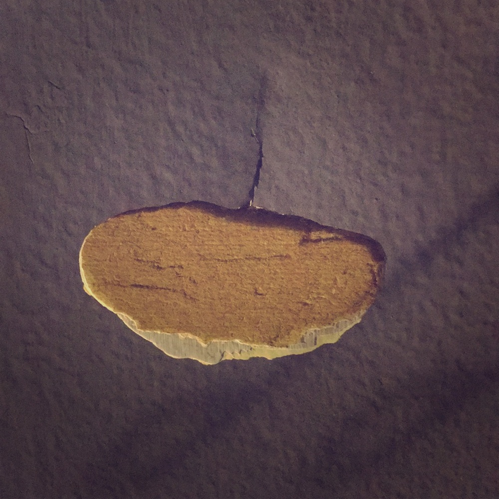 The place where there is no pant on my wall
